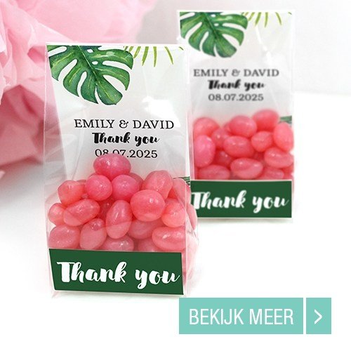 clear-sweet-bag-wedding-favour