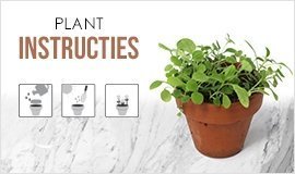 Plant-instructies